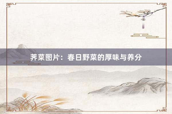 荠菜图片：春日野菜的厚味与养分