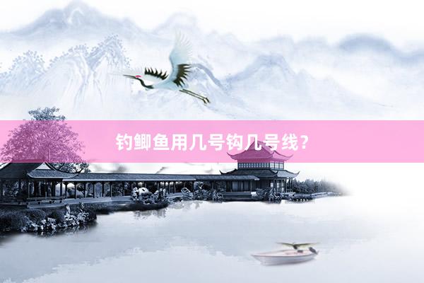钓鲫鱼用几号钩几号线？